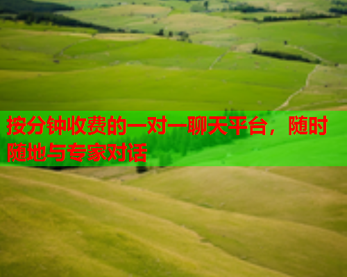 按分钟收费的一对一聊天平台，随时随地与专家对话  第1张