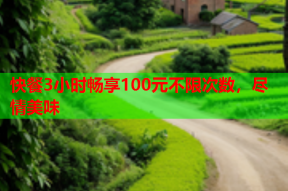 快餐3小时畅享100元不限次数，尽情美味