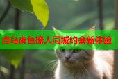 青岛夜色撩人同城约会新体验