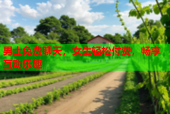 男士免费聊天，女生轻松付费，畅享互动乐趣