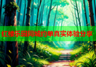 红楼乐园同城约单真实体验分享