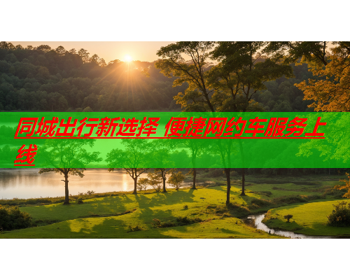 同城出行新选择 便捷网约车服务上线  第2张